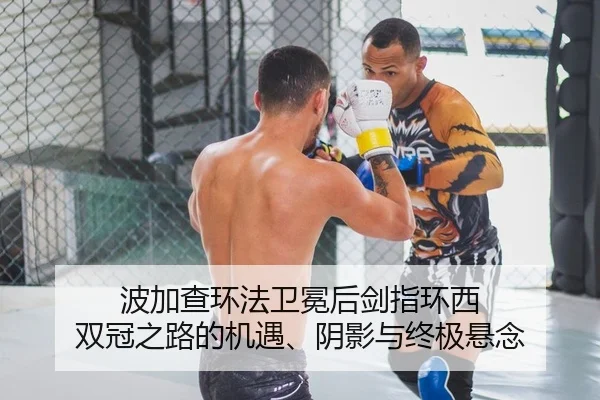 bo-jia-cha-huan-fa-wei-mian-hou-jian-zhi-huan-xi-shuang-guan-zhi-lu-de-ji-yu-yin-ying-yu-zhong-ji-xuan-nian-2-656.jpg